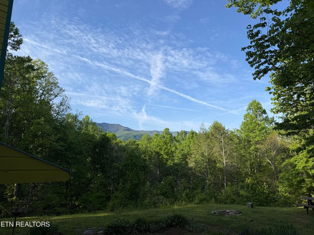 Photo of 5475 Otto Williams Rd, Cosby, TN 37722 (MLS # 1316619)