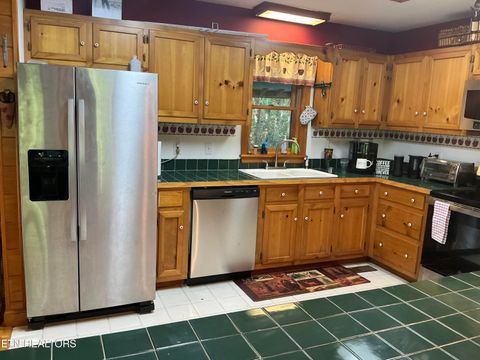 Tiny photo for 5475 Otto Williams Rd, Cosby, TN 37722 (MLS # 1316619)