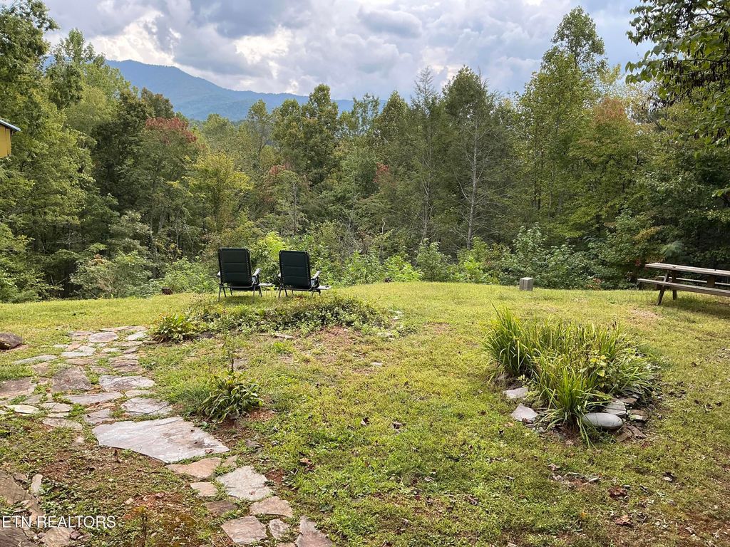 Photo of 5475 Otto Williams Rd, Cosby, TN 37722 (MLS # 1316619)