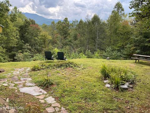 Photo of 5475 Otto Williams Rd, Cosby, TN 37722 (MLS # 1316619)