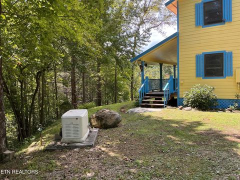 Tiny photo for 5475 Otto Williams Rd, Cosby, TN 37722 (MLS # 1316619)
