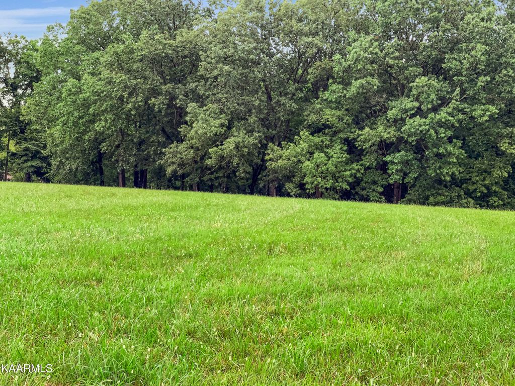 Photo of Lot 27 Sunset Blvd, White Pine, TN 37890 (MLS # 1233694)