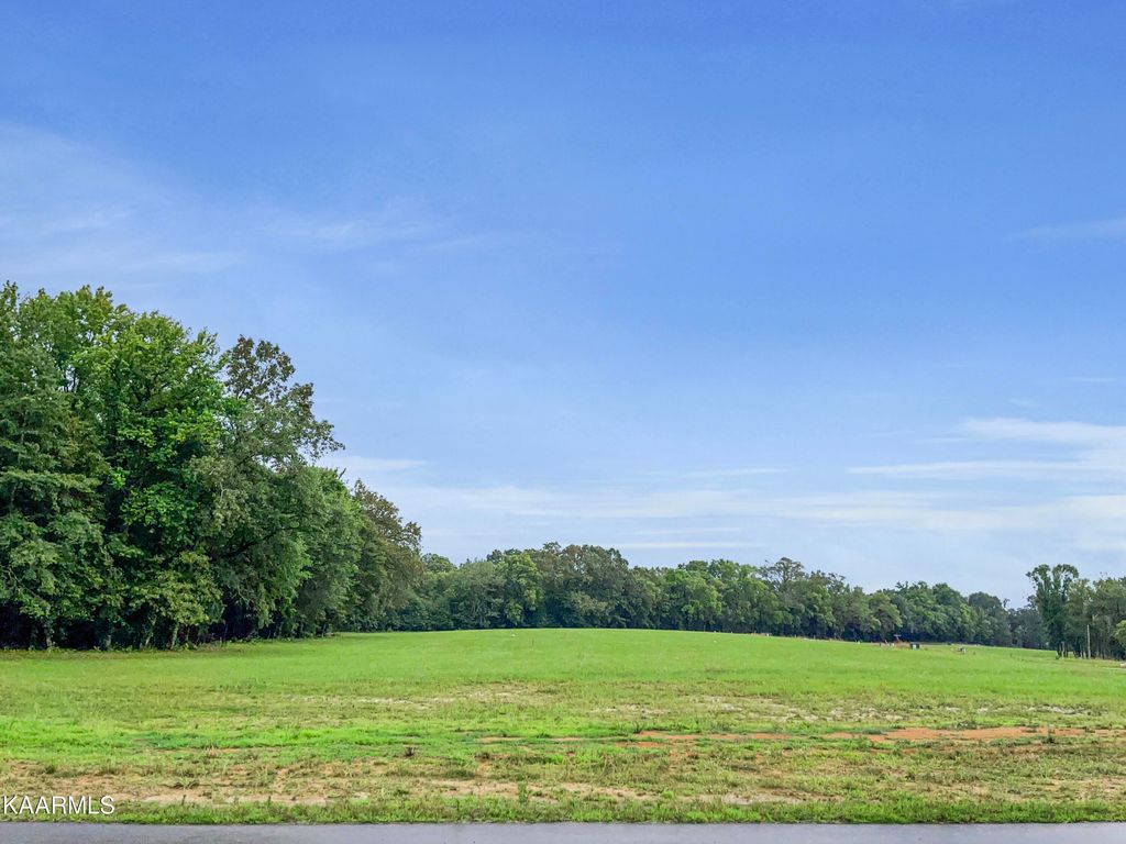 Photo of Lot 27 Sunset Blvd, White Pine, TN 37890 (MLS # 1233694)