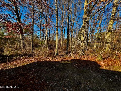 Photo of Four Mile Creek Rd, Deer Lodge, TN 37726 (MLS # 1324711)