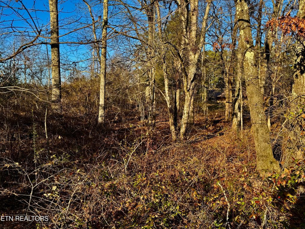 Photo of Four Mile Creek Rd, Deer Lodge, TN 37726 (MLS # 1324711)