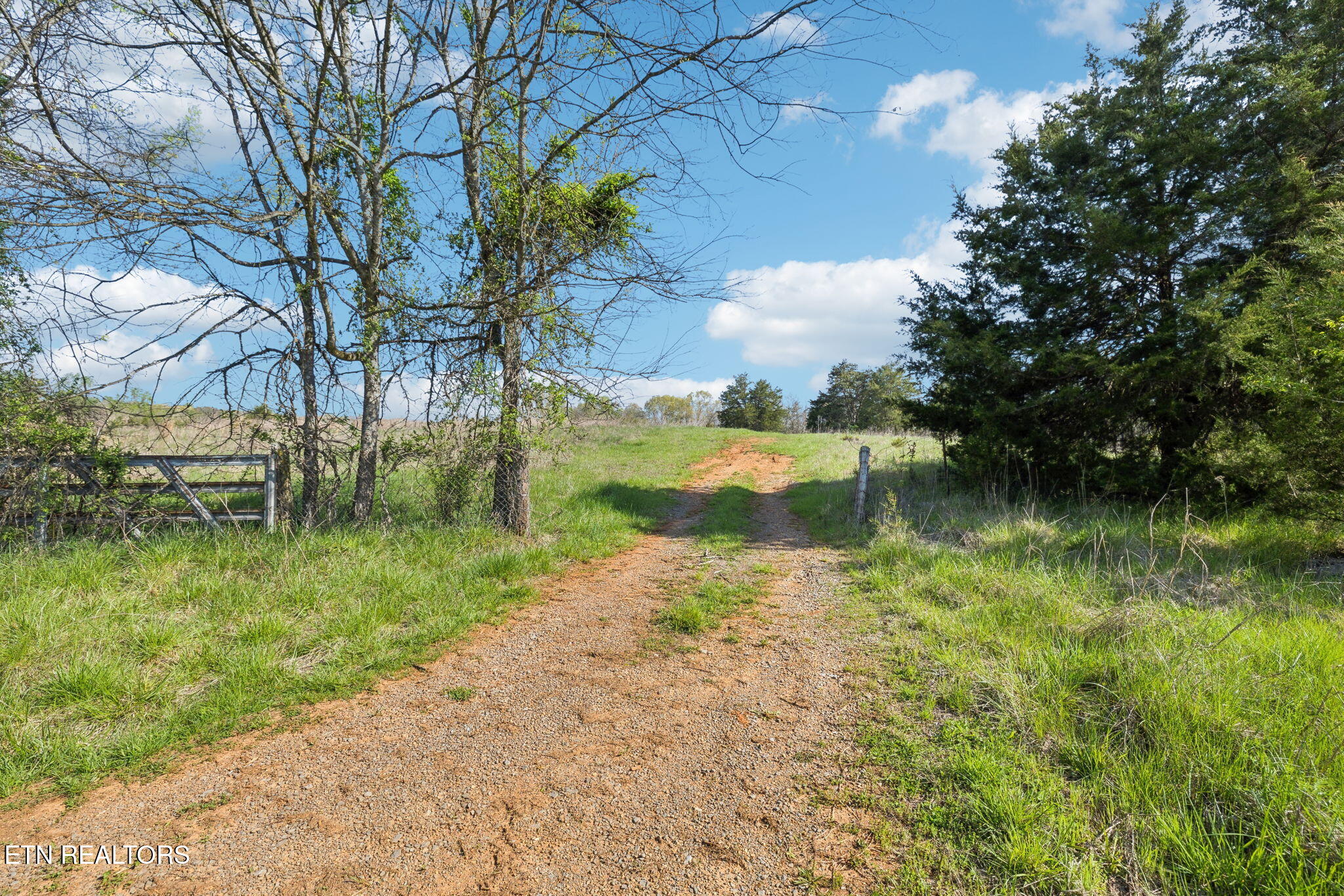 436 Thorngrove Pike