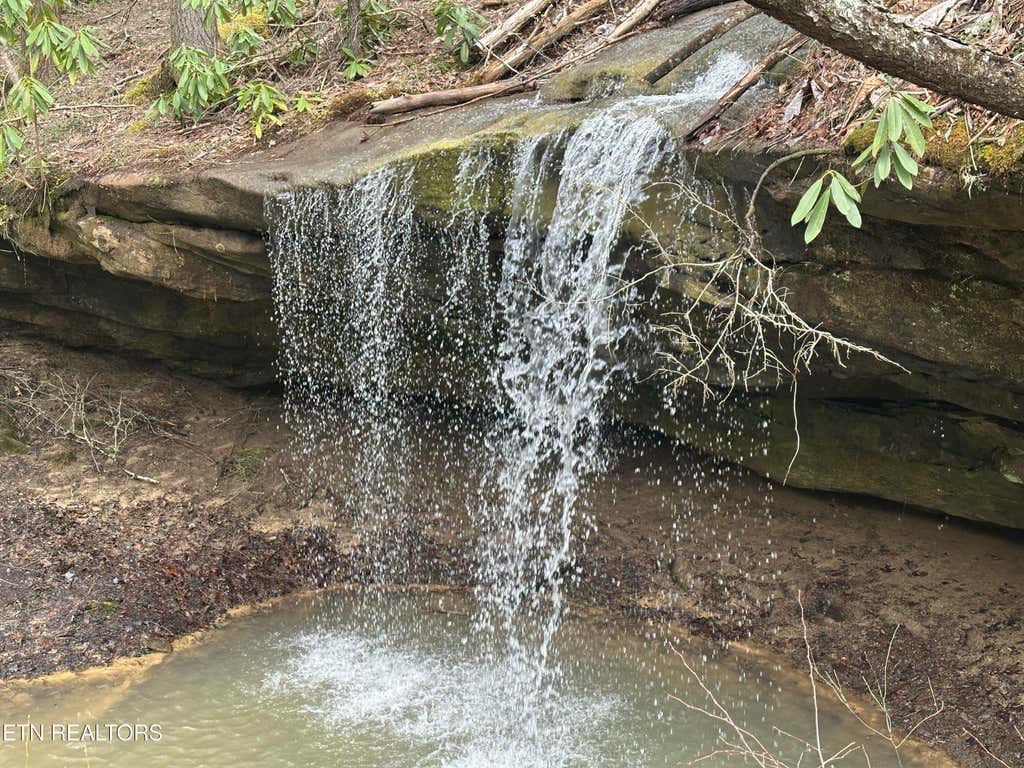 Photo of Rugby Highway, Robbins, TN 37852 (MLS # 1299505)