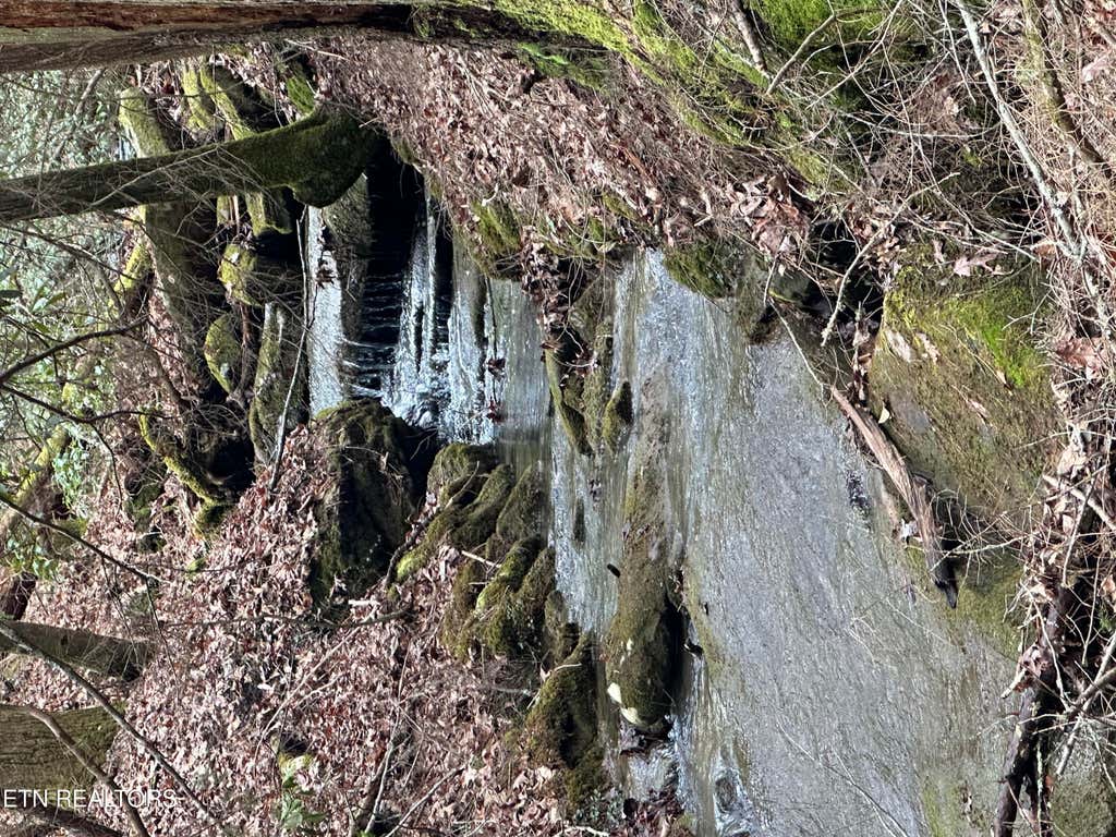 Photo of Rugby Highway, Robbins, TN 37852 (MLS # 1299505)