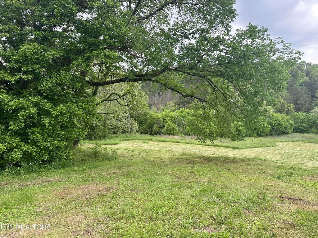 Photo of 1623 Tater Valley Rd, Washburn, TN 37888 (MLS # 1300416)