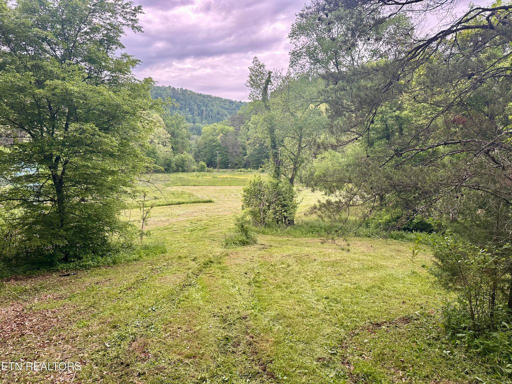 Photo of 1623 Tater Valley Rd, Washburn, TN 37888 (MLS # 1300416)
