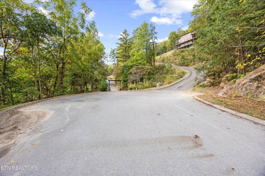 Photo of Blackthorn Tr, Sevierville, TN 37876 (MLS # 1319667)