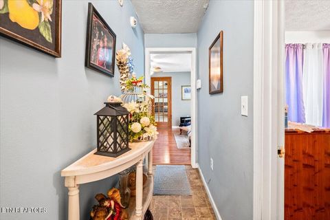 Tiny photo for 915 Cherry St, LaFollette, TN 37766 (MLS # 1340551)