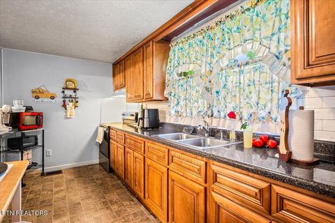 Tiny photo for 915 Cherry St, LaFollette, TN 37766 (MLS # 1340551)