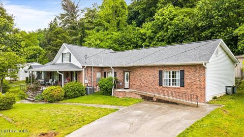 Tiny photo for 915 Cherry St, LaFollette, TN 37766 (MLS # 1340551)