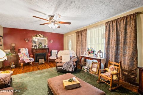 Tiny photo for 915 Cherry St, LaFollette, TN 37766 (MLS # 1340551)