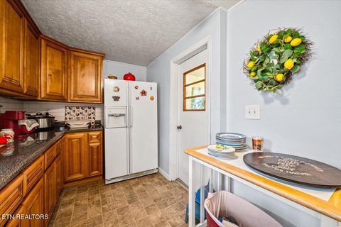 Tiny photo for 915 Cherry St, LaFollette, TN 37766 (MLS # 1340551)