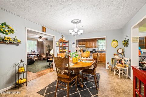 Tiny photo for 915 Cherry St, LaFollette, TN 37766 (MLS # 1340551)