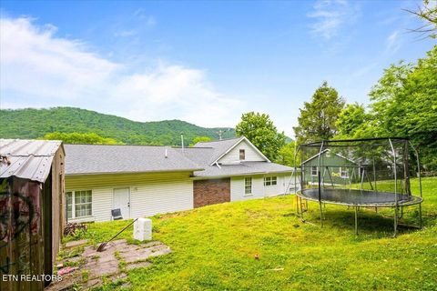 Tiny photo for 915 Cherry St, LaFollette, TN 37766 (MLS # 1340551)