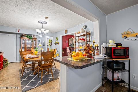 Tiny photo for 915 Cherry St, LaFollette, TN 37766 (MLS # 1340551)