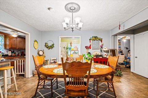 Tiny photo for 915 Cherry St, LaFollette, TN 37766 (MLS # 1340551)