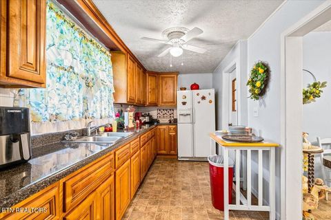 Tiny photo for 915 Cherry St, LaFollette, TN 37766 (MLS # 1340551)