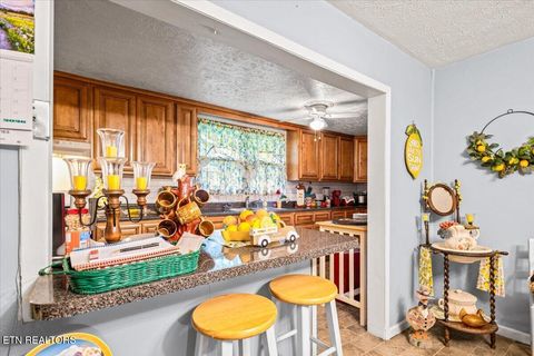 Tiny photo for 915 Cherry St, LaFollette, TN 37766 (MLS # 1340551)