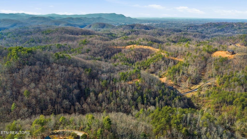 Photo of 15 Blossom Hollow Way, Sevierville, TN 37876 (MLS # 1327654)