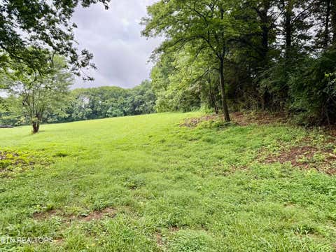 Tiny photo for Flat Gap Rd, Jefferson City, TN 37760 (MLS # 1350096)