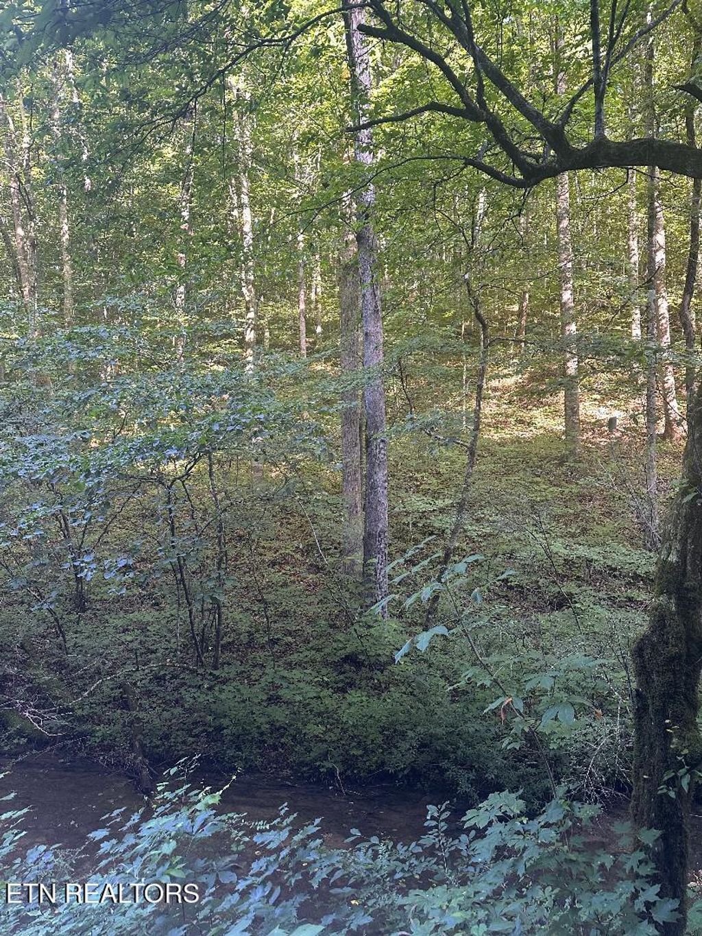 Photo of Lonesome Vally Rd Rd, Tazewell, TN 37879 (MLS # 1308429)