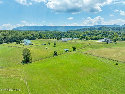 1531 Ellejoy Rd Seymour TN 37865