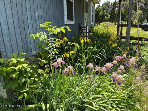 Tiny photo for 1597 Goodfield Rd, Decatur, TN 37322 (MLS # 1340559)