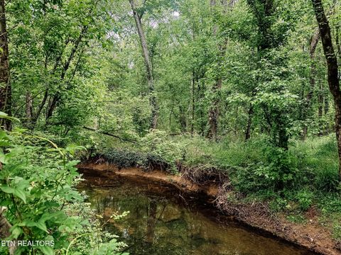 Tiny photo for 1597 Goodfield Rd, Decatur, TN 37322 (MLS # 1340559)