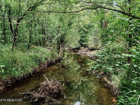 Tiny photo for 1597 Goodfield Rd, Decatur, TN 37322 (MLS # 1340559)