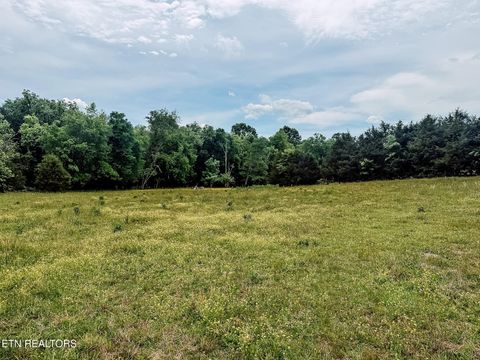 Tiny photo for 1597 Goodfield Rd, Decatur, TN 37322 (MLS # 1340559)