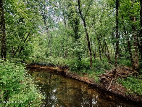 Tiny photo for 1597 Goodfield Rd, Decatur, TN 37322 (MLS # 1340559)