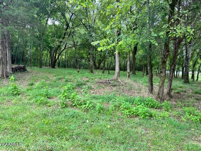 Photo of Kanati Tr, Vonore, TN 37885 (MLS # 1236523)