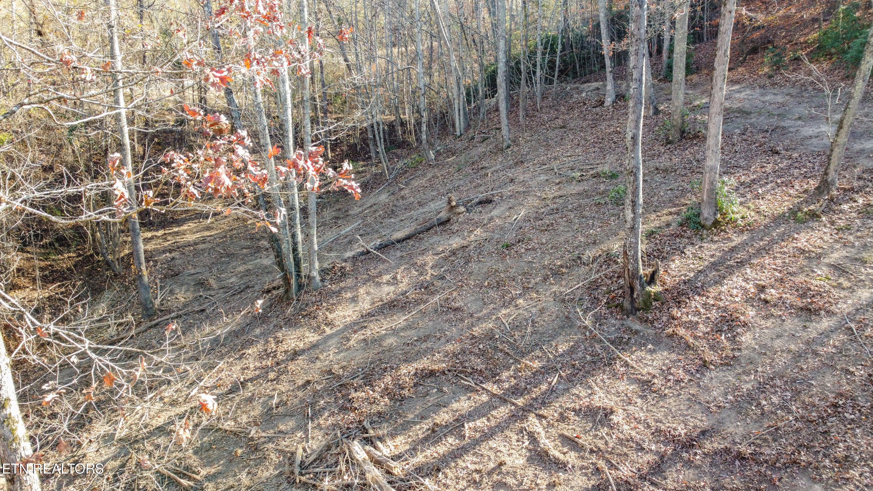Lot 75 Turkey Ridge Rd