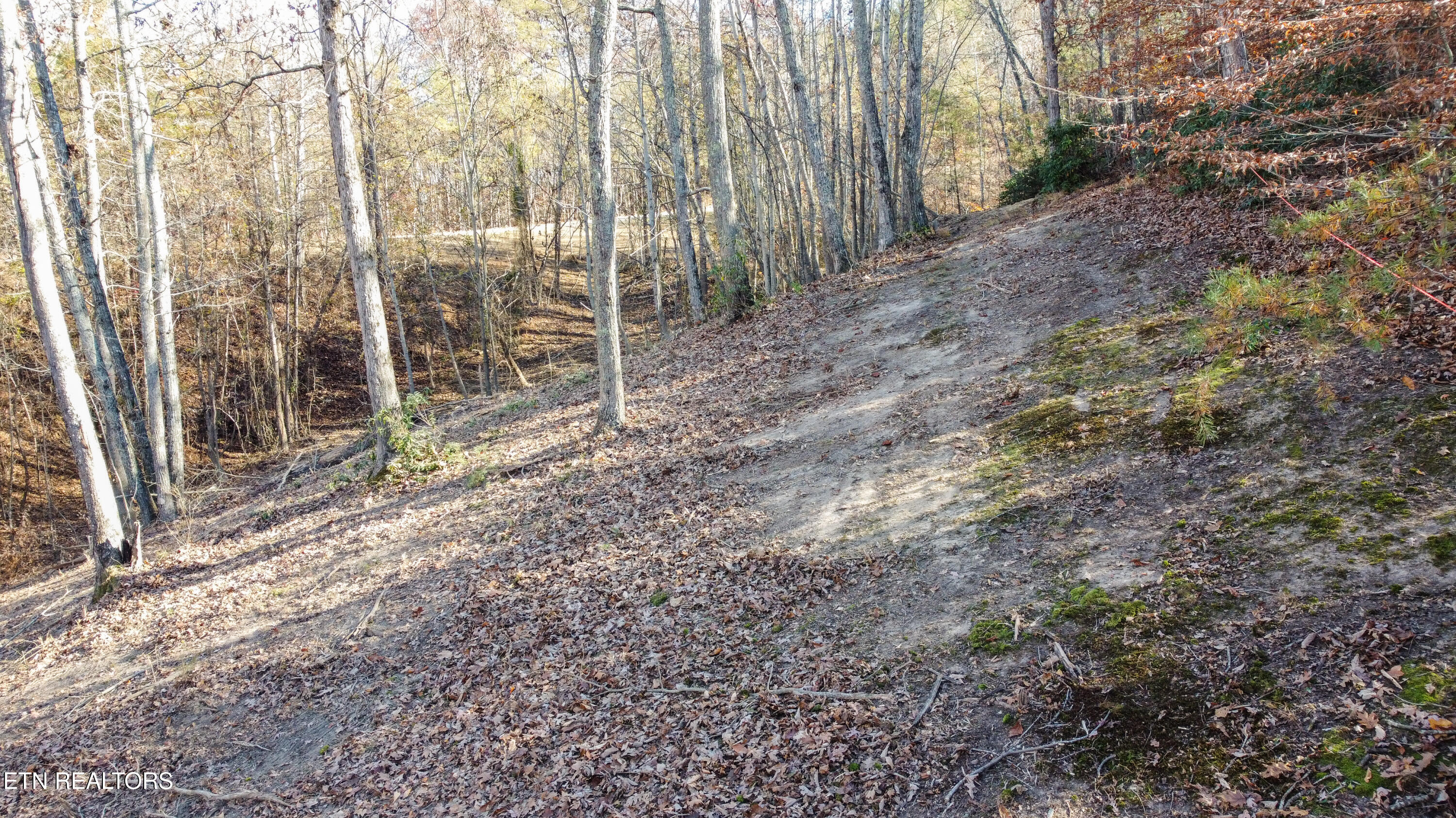 Lot 75 Turkey Ridge Rd