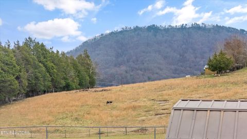 Tiny photo for 9228 Washington Pike, Corryton, TN 37721 (MLS # 1323259)
