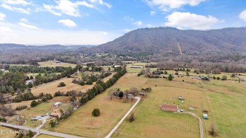 Tiny photo for 9228 Washington Pike, Corryton, TN 37721 (MLS # 1323259)