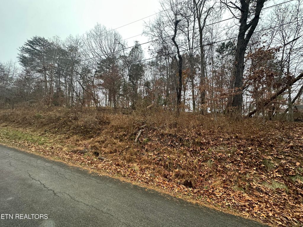 Photo of Beaus Bend Rd, Louisville, TN 37777 (MLS # 1246648)