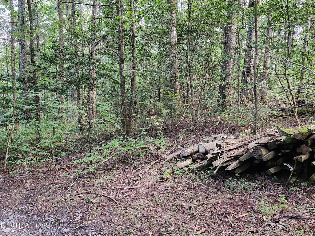 Photo of 417 Lawson Rd, Townsend, TN 37882 (MLS # 1240533)