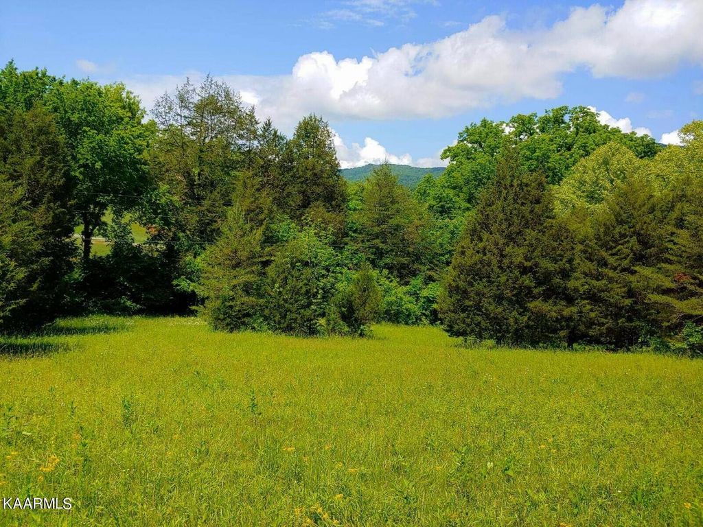 Photo of 397 Lewis Lane, Blaine, TN 37709 (MLS # 1230252)