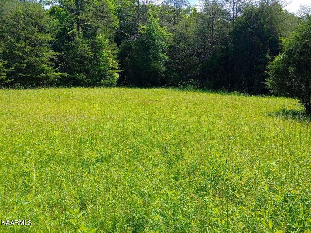 Photo of 397 Lewis Lane, Blaine, TN 37709 (MLS # 1230252)