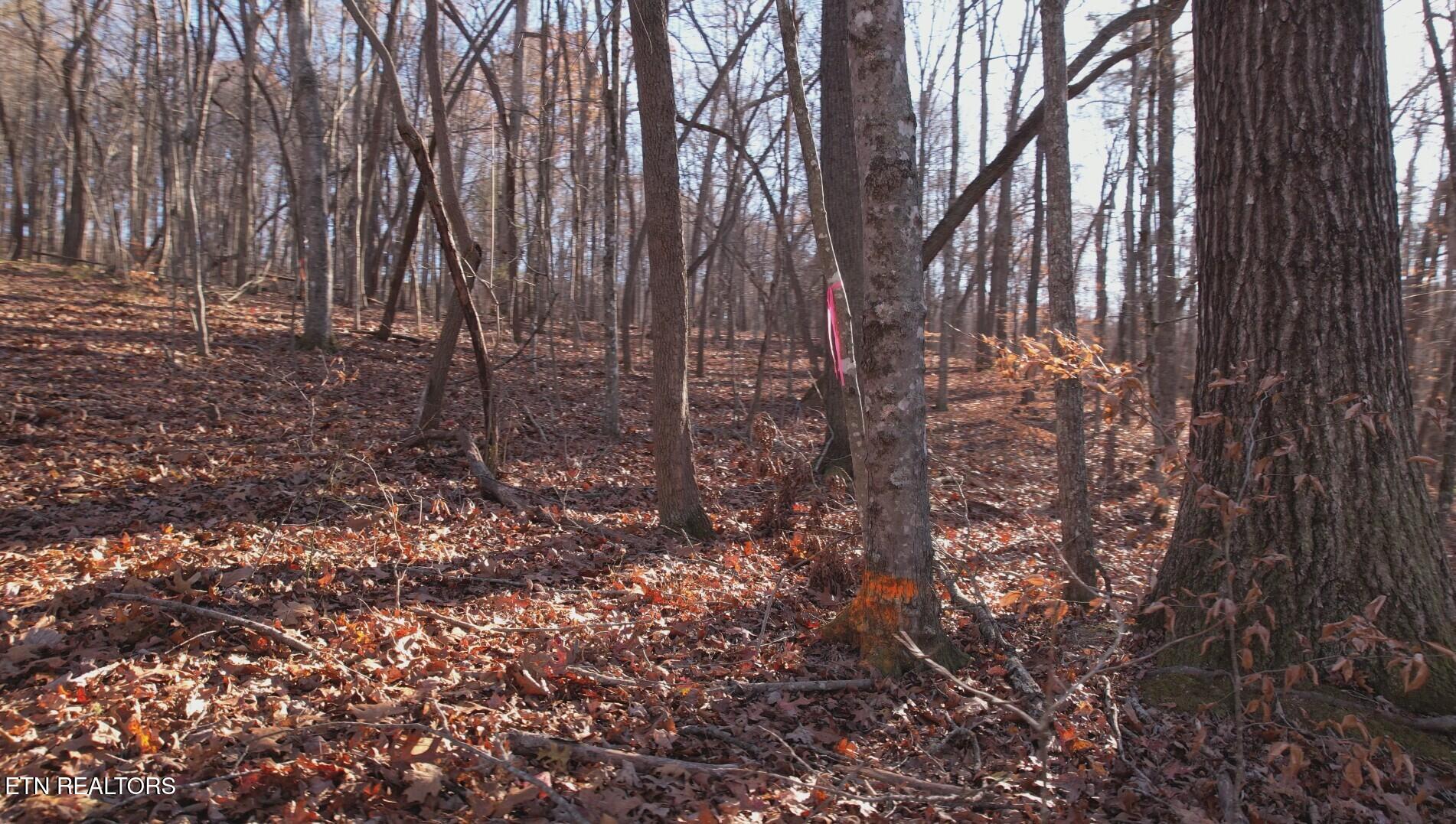 Lot 116 Hiwassee View Drive
