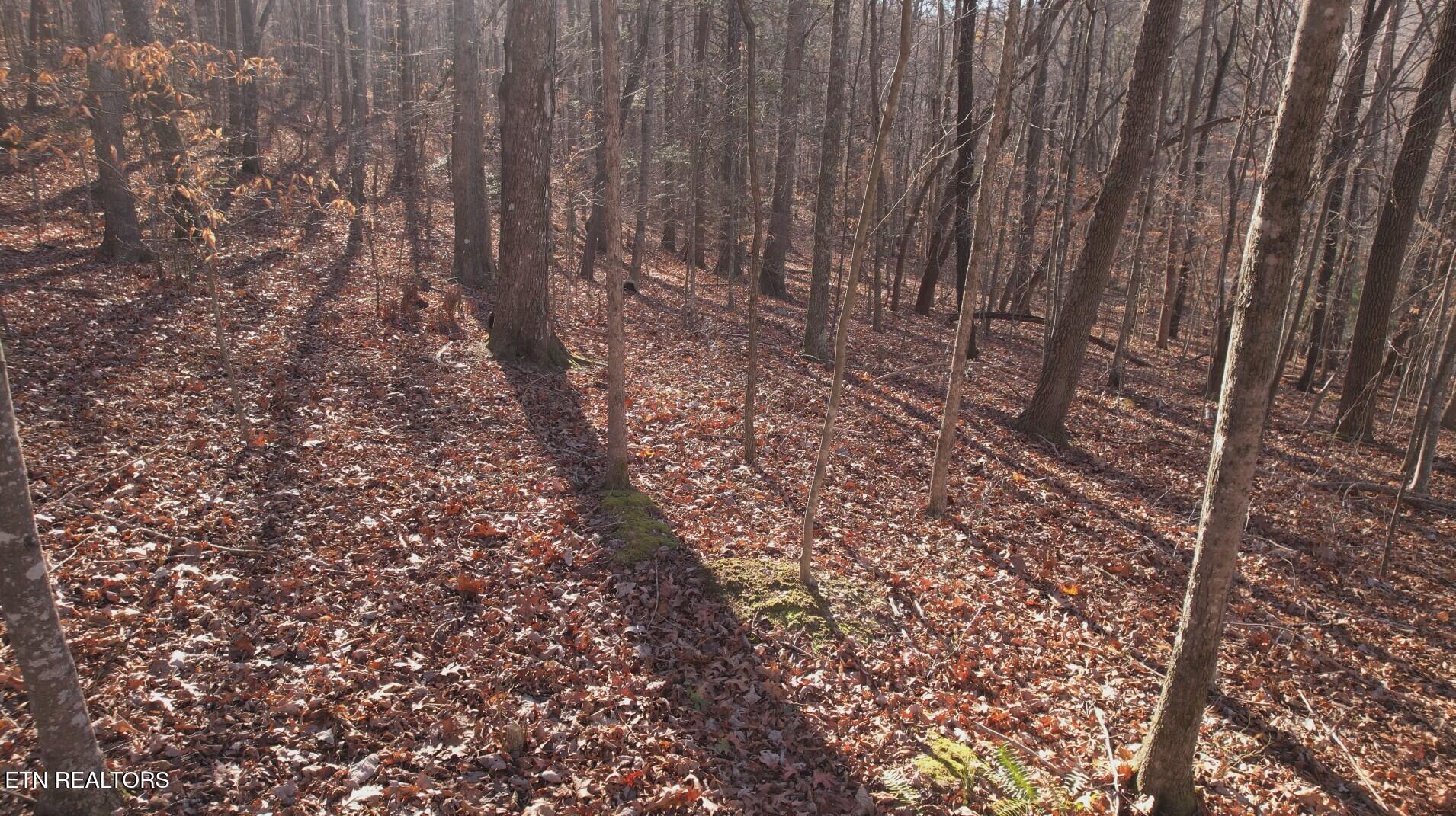 Lot 116 Hiwassee View Drive