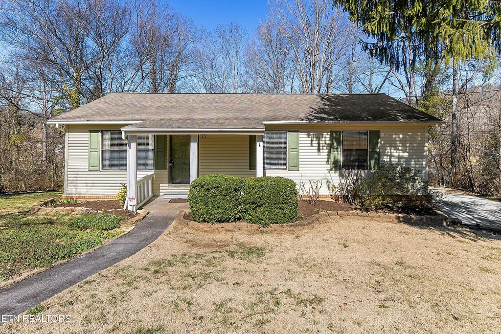 Photo of 215 White Pine Lane, Rockford, TN 37853 (MLS # 1292227)
