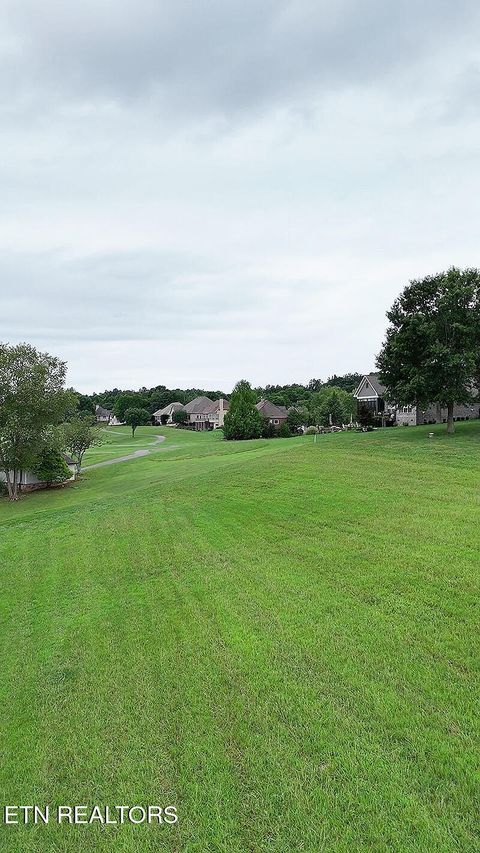 Photo of 148 White Hawk Drive, Vonore, TN 37885 (MLS # 1311599)