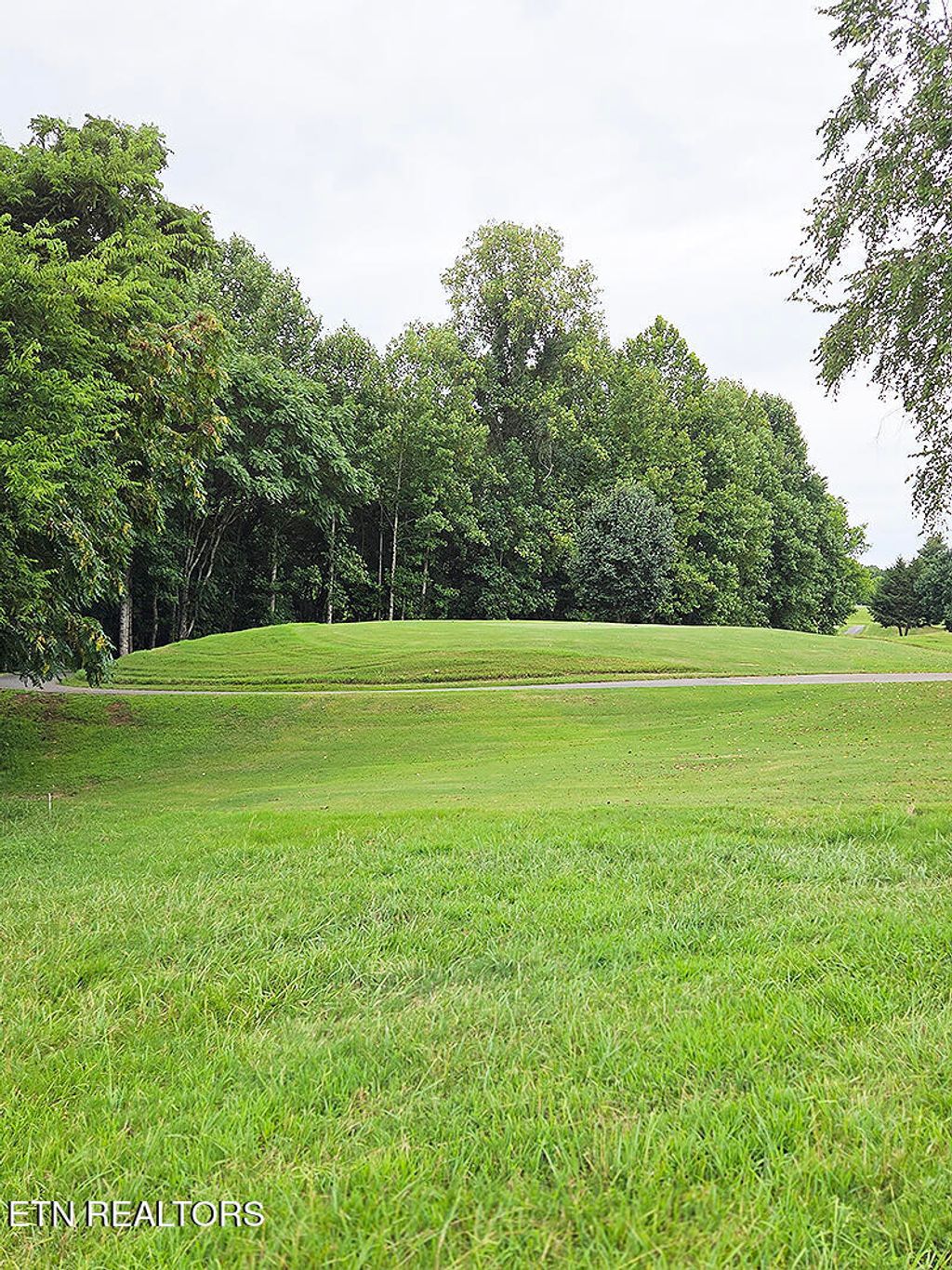 Photo of 148 White Hawk Drive, Vonore, TN 37885 (MLS # 1311599)