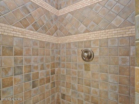 Tiny photo for 310 Hagaman Lane, Andersonville, TN 37705 (MLS # 1326472)